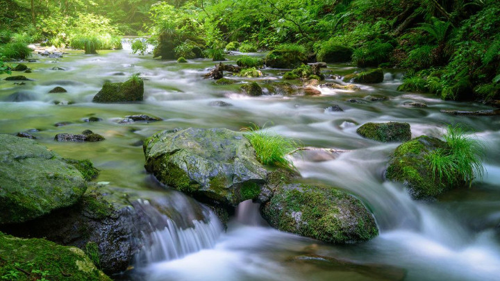 Fluss
